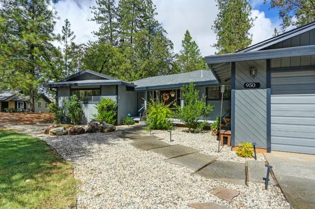 a view of a house with large trees and plants