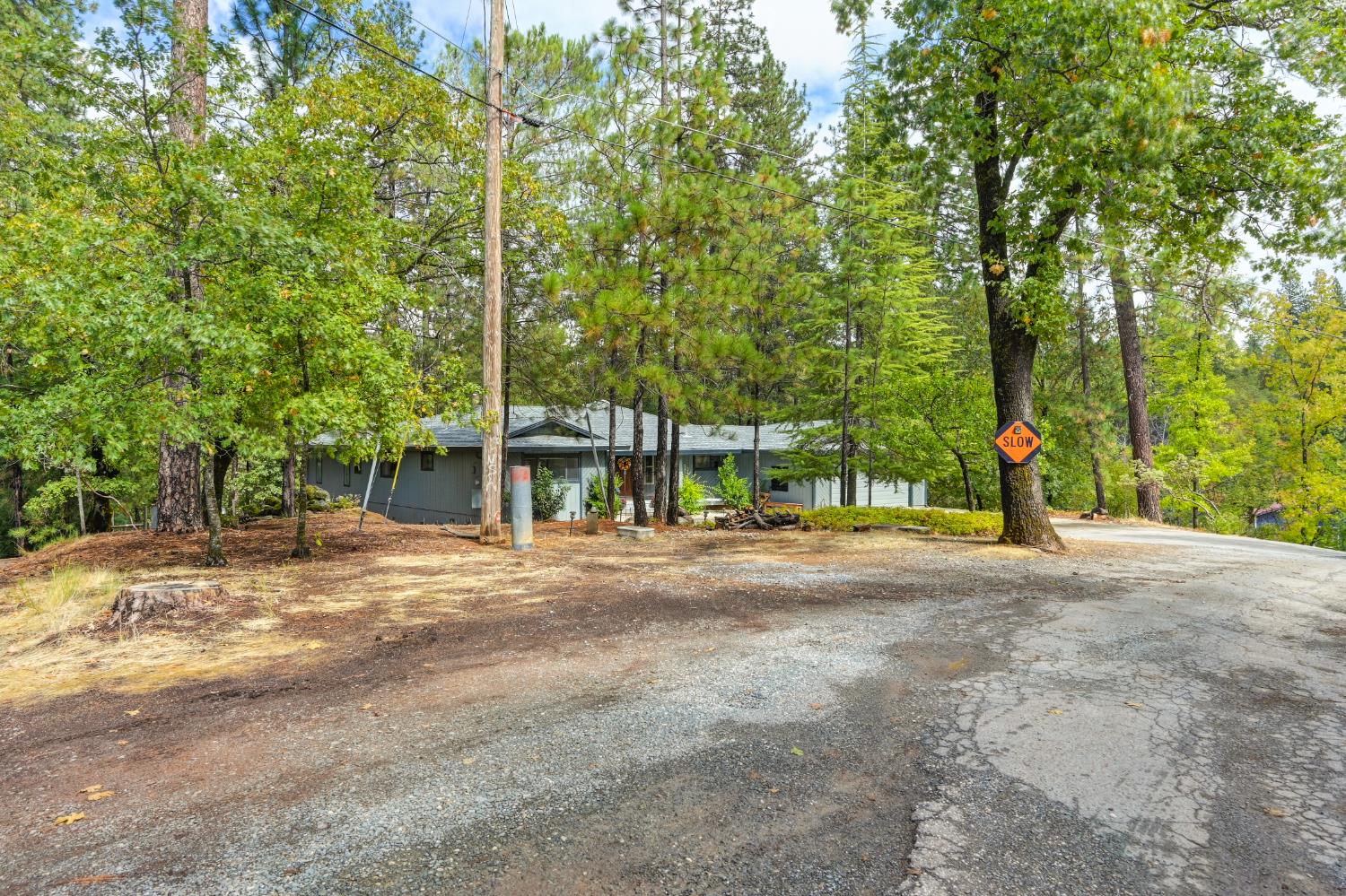 950 Pine Hill Road Colfax, CA 95713 - Photo 7 of 58