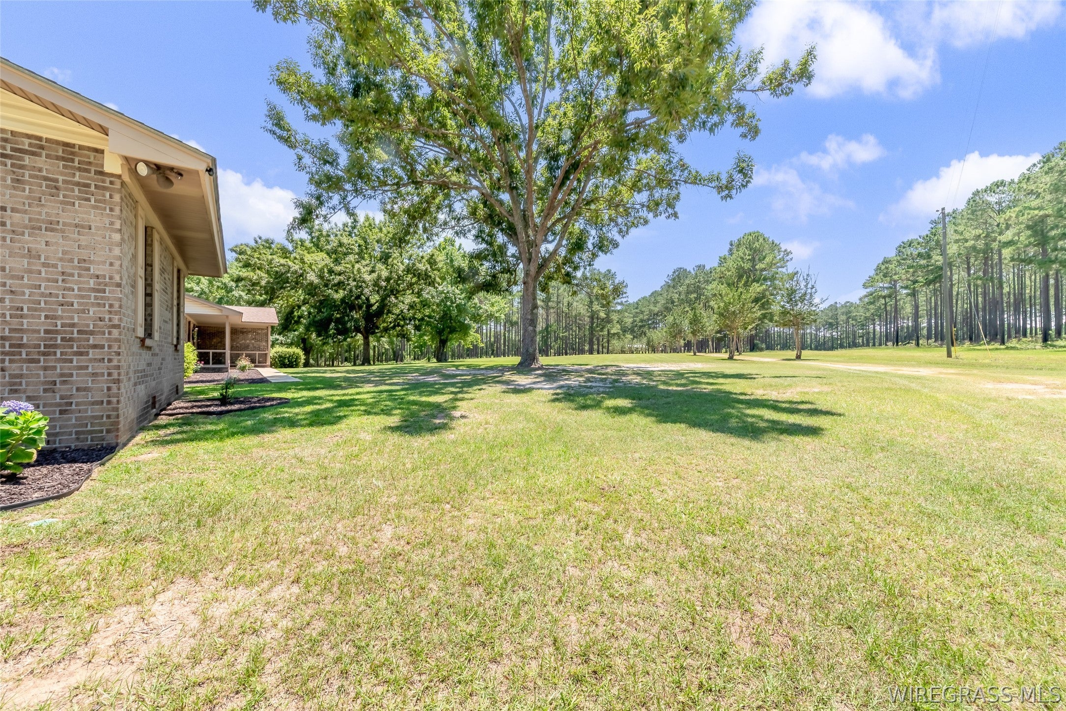 26775 Weaver Place Road Opp, AL 36467 - Photo 4 of 49 Gallery Image 4