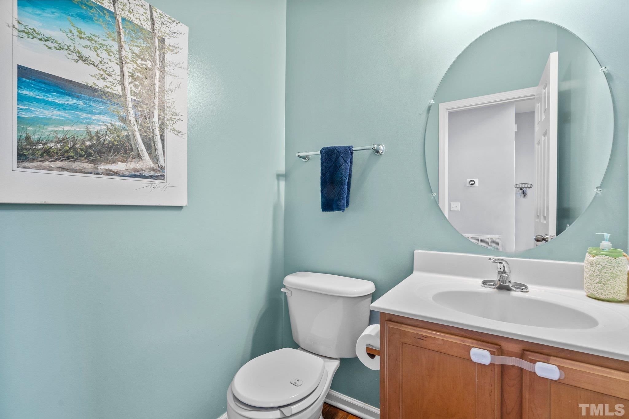 2359 Spruce Shadows Lane Raleigh, NC 27614 - Photo 14 of 34 a bathroom with a toilet a sink and mirror