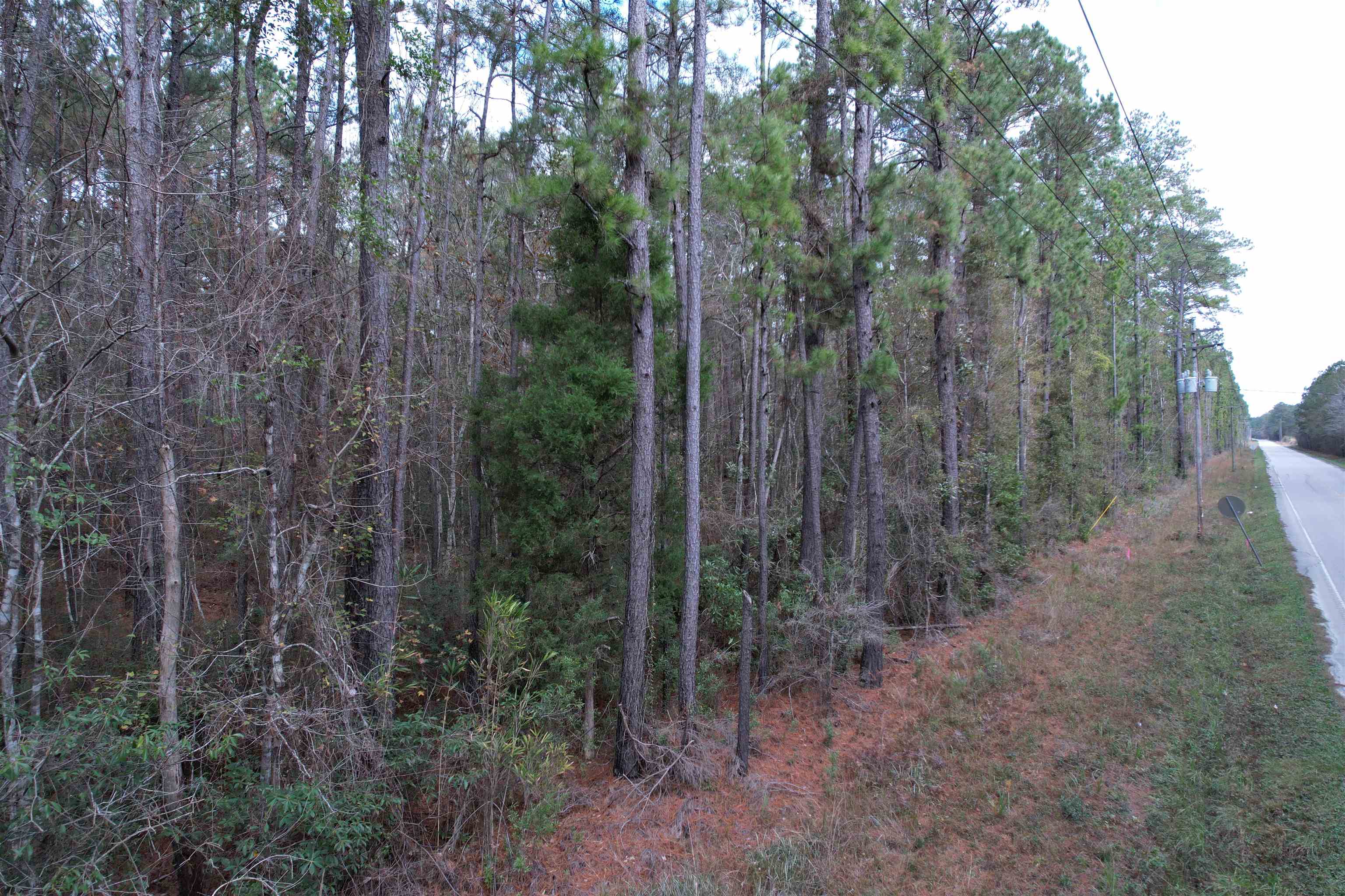 Tract B - Tbd Tract B - Tbd Pennyroyal Road Georgetown, SC 29440 - Photo 18 of 23