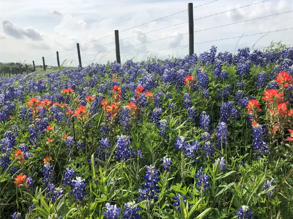 $499,800 | 6700 Farm To Market 50, Brenham, TX 77833