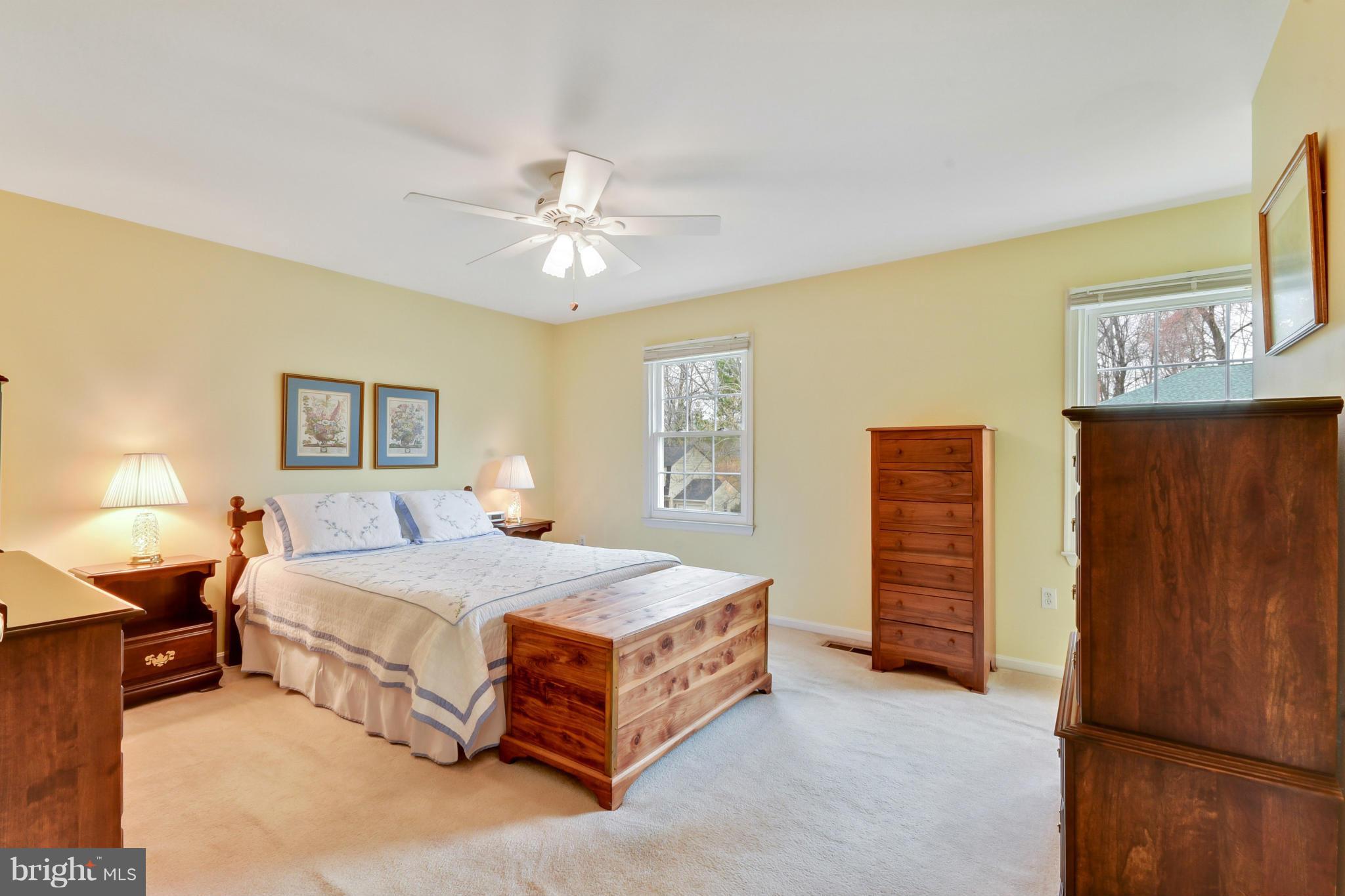 8135 Viola Street Springfield, VA 22152 - Photo 14 of 30 Master with lots of room for furniture placement