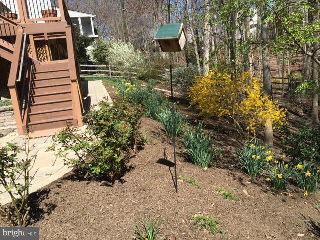 8135 Viola Street Springfield, VA 22152 - Photo 26 of 30 Landscaped yard overlooking walking path