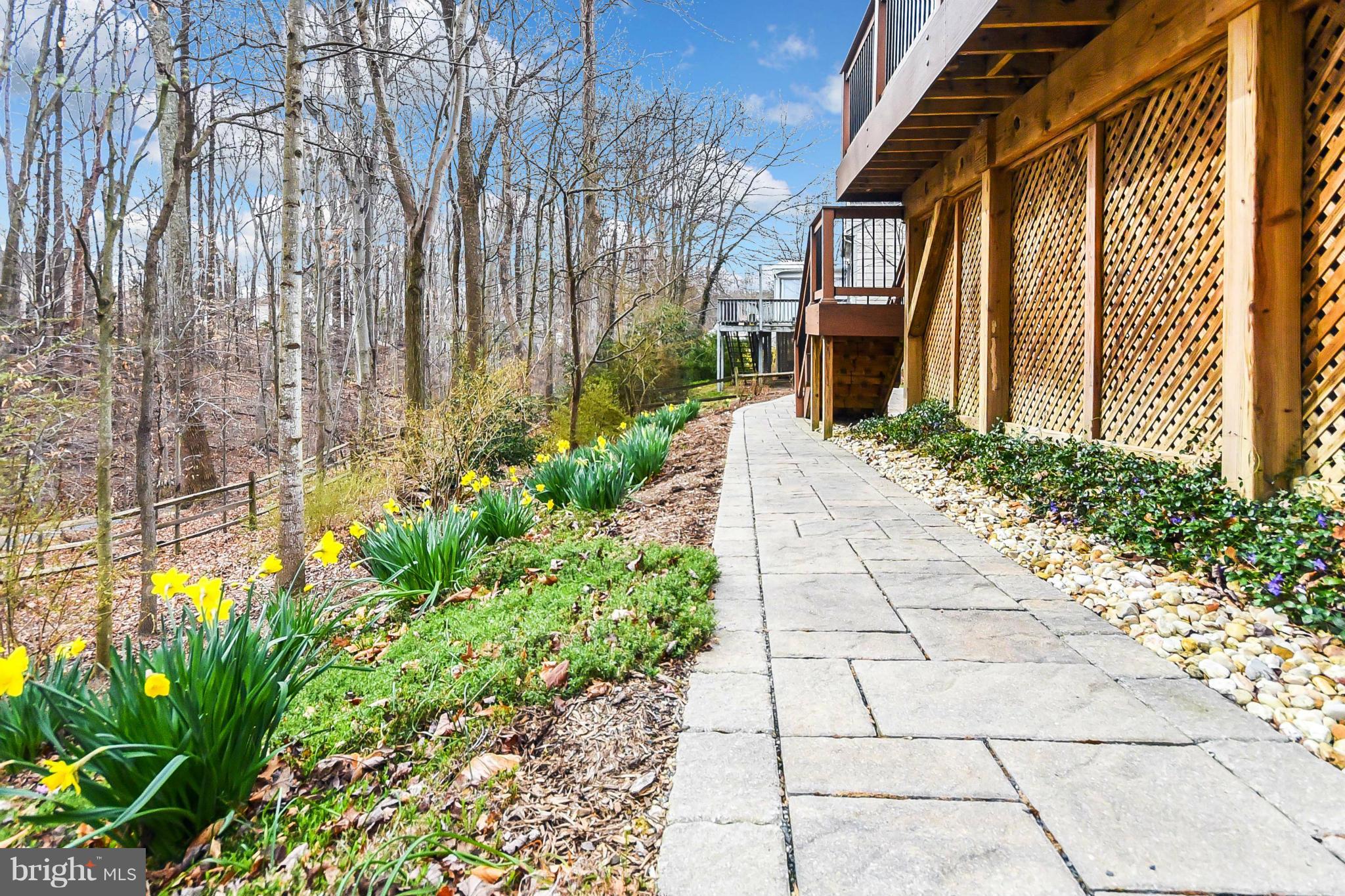 8135 Viola Street Springfield, VA 22152 - Photo 27 of 30 Beautiful plantings along the stone walkway