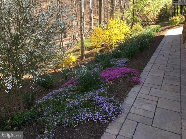 8135 Viola Street Springfield, VA 22152 - Photo 28 of 30 Gorgeous gardens in the spring and summer