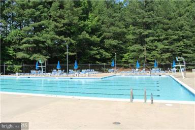 8135 Viola Street Springfield, VA 22152 - Photo 29 of 30 Rolling Forest Pool