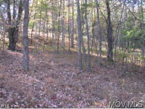 0 Sengtown Road Smithville, WV 26178 - Photo 5 of 6