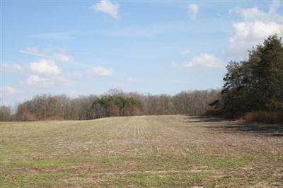 52300 Ball Road Dowagiac, MI 49047 - Photo 1 of 2 Primary Photo