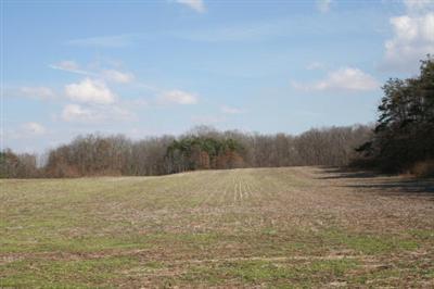 52300 Ball Road Dowagiac, MI 49047 - Photo 2 of 2 Additional Photo