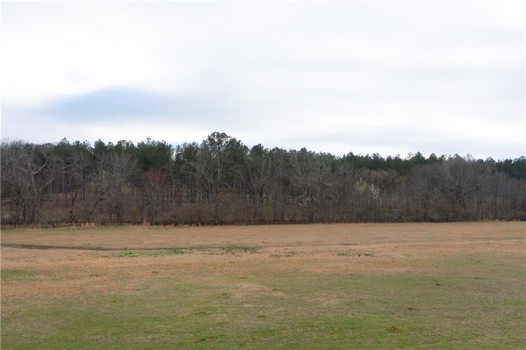 1331 Barrows Grove Road Madison, GA 30650 - Photo 32 of 47 a view of road with trees