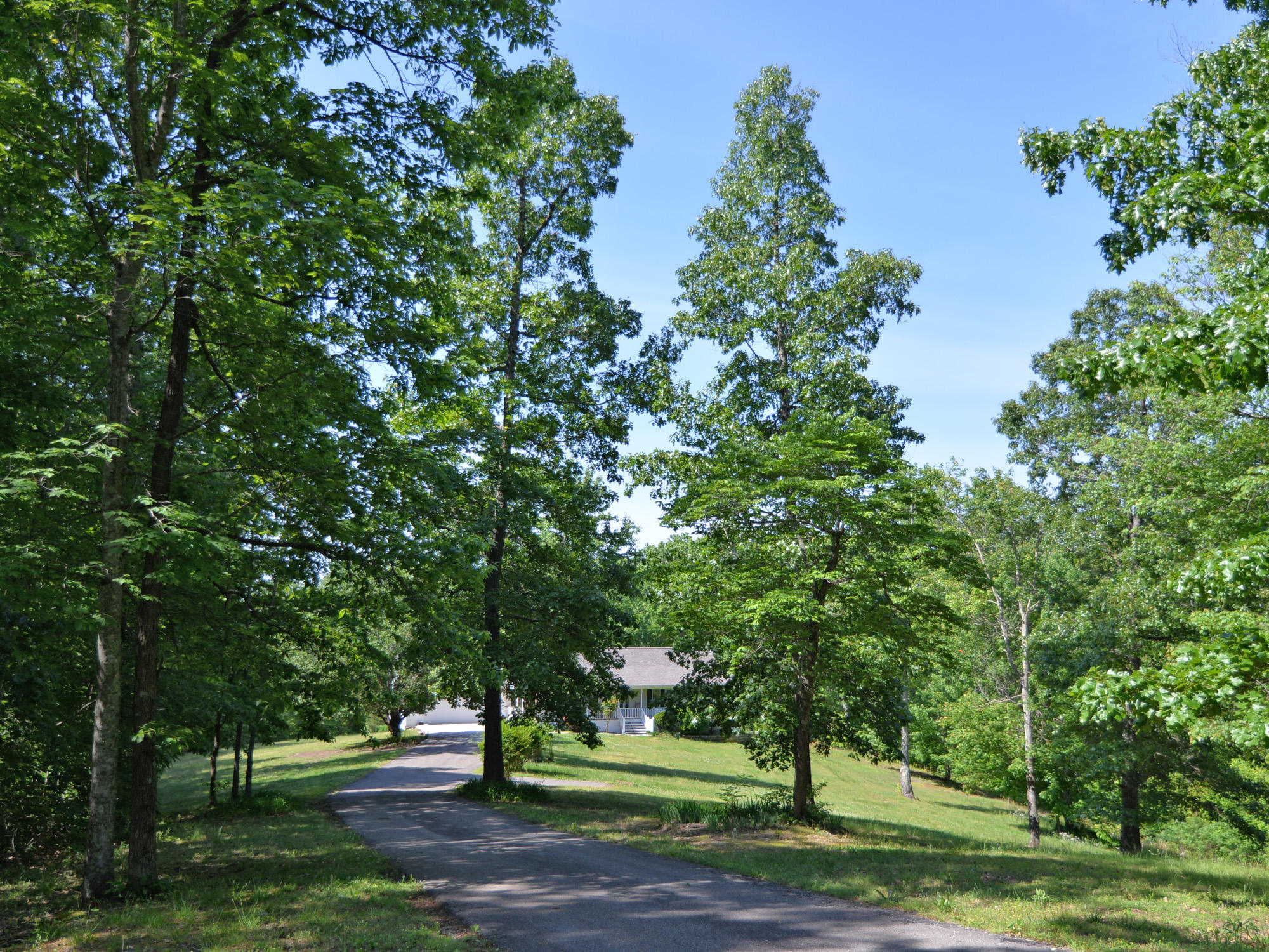4054 Demory Road La Follette, TN 37766 - Photo 2 of 22 4054 Demory