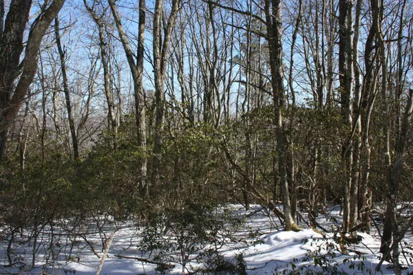 $19,900 | Tbd Summit Drive, Monterey, VA 24465