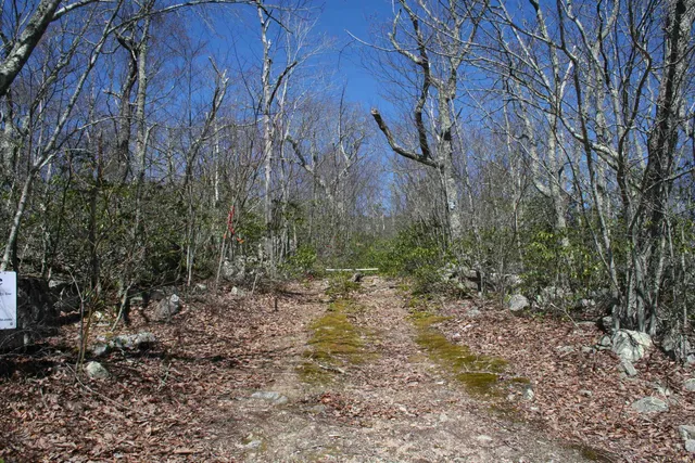 $19,900 | Tbd Summit Drive, Monterey, VA 24465