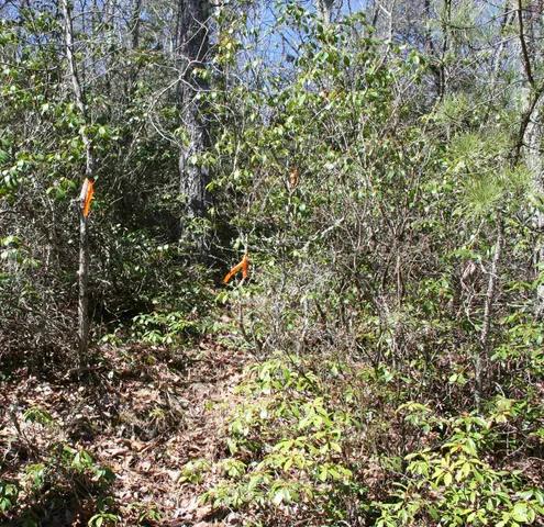 $19,900 | Tbd Summit Drive, Monterey, VA 24465