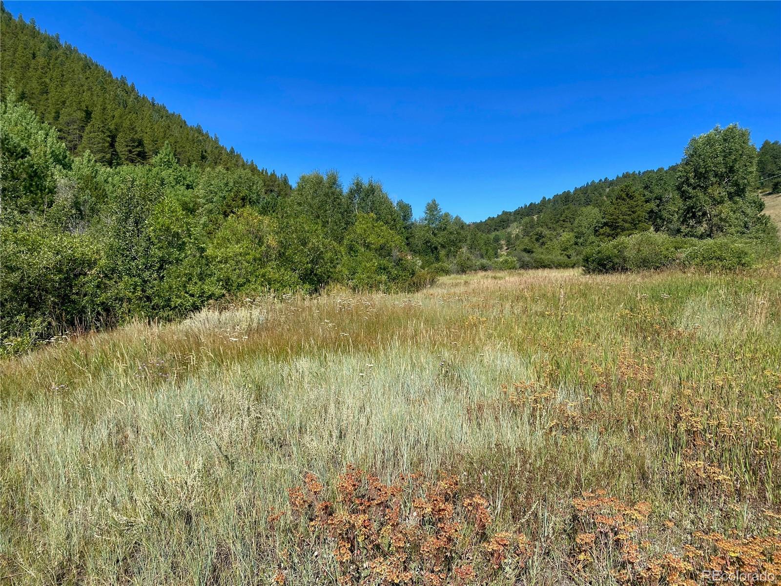 7 Apex Valley Road Black Hawk, CO 80422 - Photo 15 of 32 Gallery Image 15