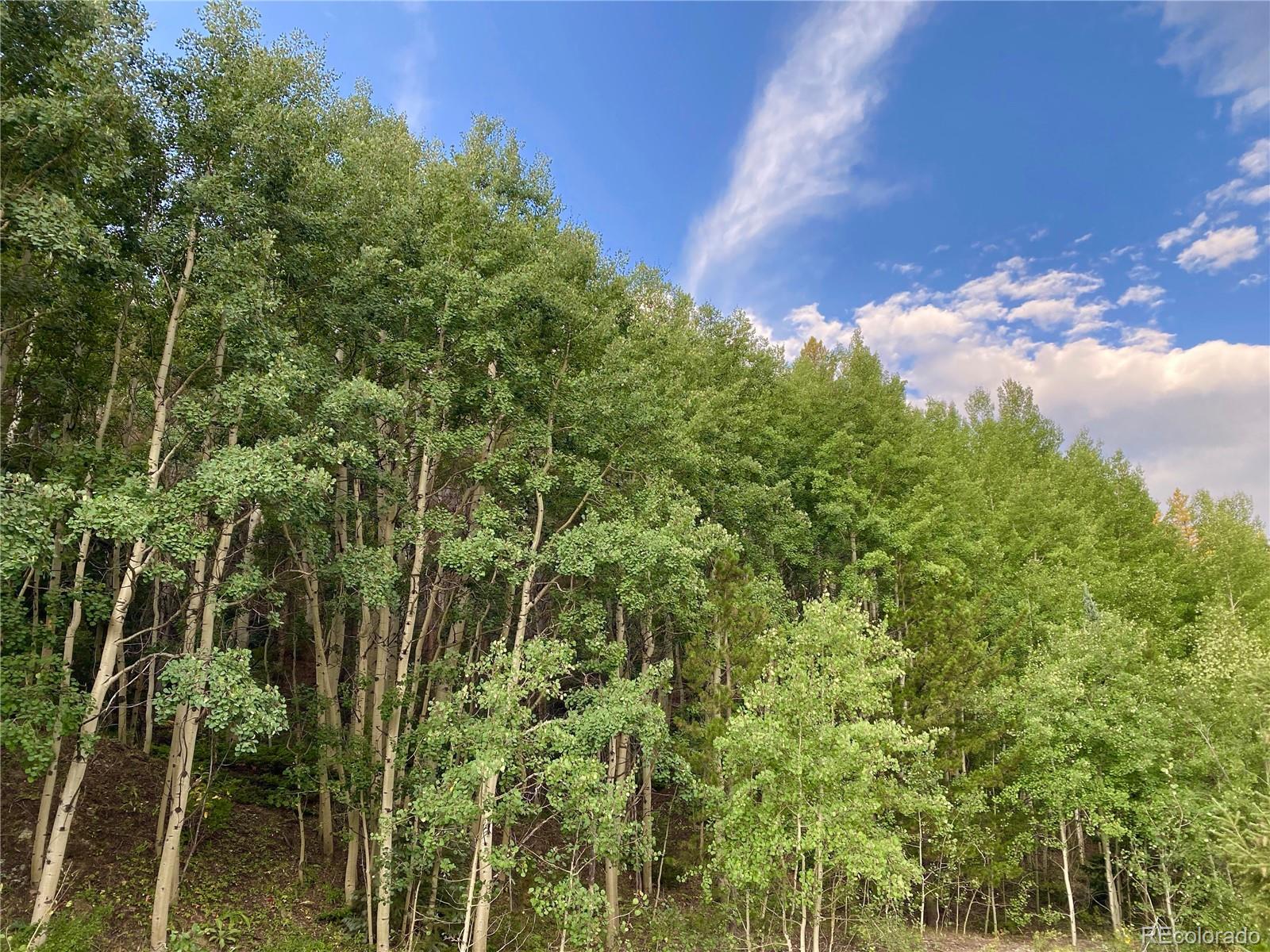 7 Apex Valley Road Black Hawk, CO 80422 - Photo 31 of 32 Gallery Image 31