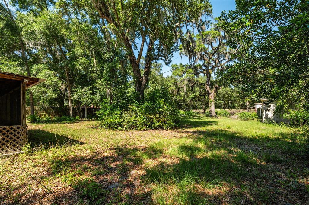 4367 Highway 301 Bushnell, FL 33513 - Photo 36 of 44 a view of backyard with green space