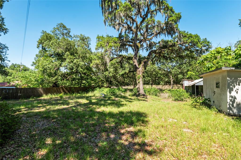 4367 Highway 301 Bushnell, FL 33513 - Photo 37 of 44 a view of a yard with plants and large trees