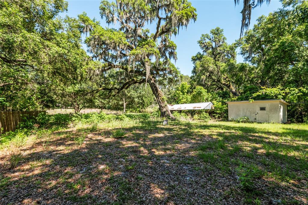 4367 Highway 301 Bushnell, FL 33513 - Photo 39 of 44 a backyard of a house with a garden and plants