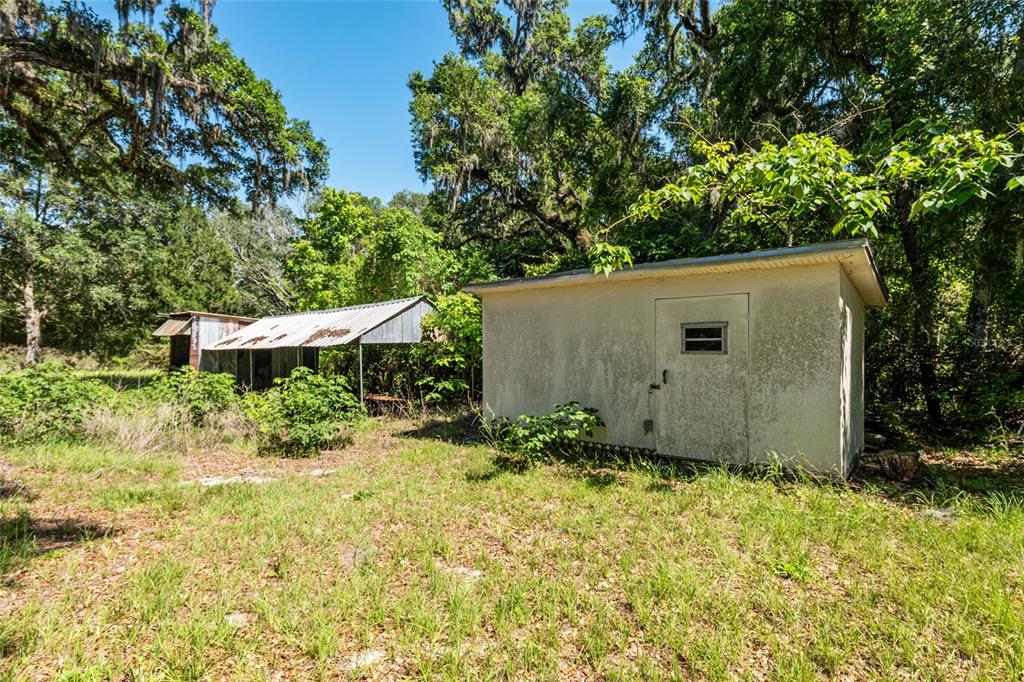 4367 Highway 301 Bushnell, FL 33513 - Photo 40 of 44 a backyard of a house with plants and large trees
