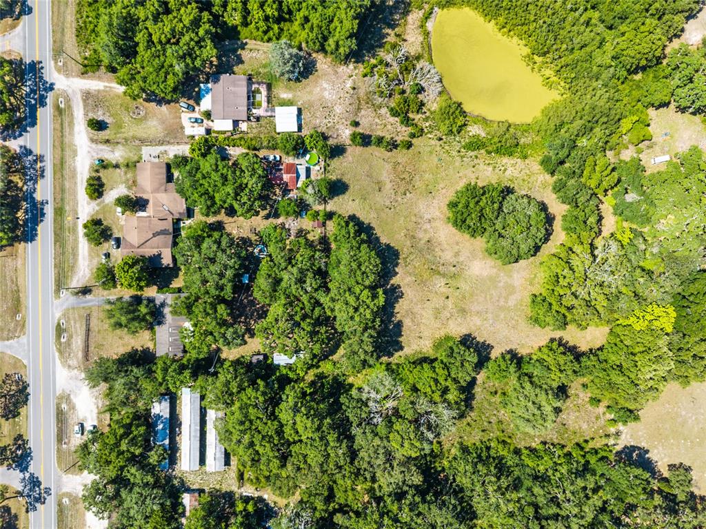 4367 Highway 301 Bushnell, FL 33513 - Photo 42 of 44 a view of a garden