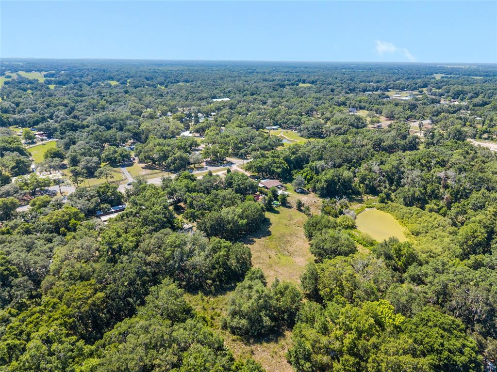 4367 Highway 301 Bushnell, FL 33513 - Photo 43 of 44 an aerial view of a houses with a yard and lake view