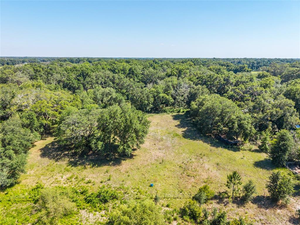 4367 Highway 301 Bushnell, FL 33513 - Photo 44 of 44 a view of a yard