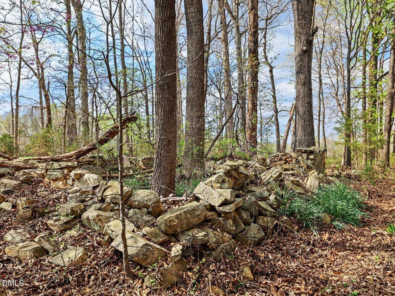 7793 Ridgeville Road Leasburg, NC 27291 - Photo 77 of 91