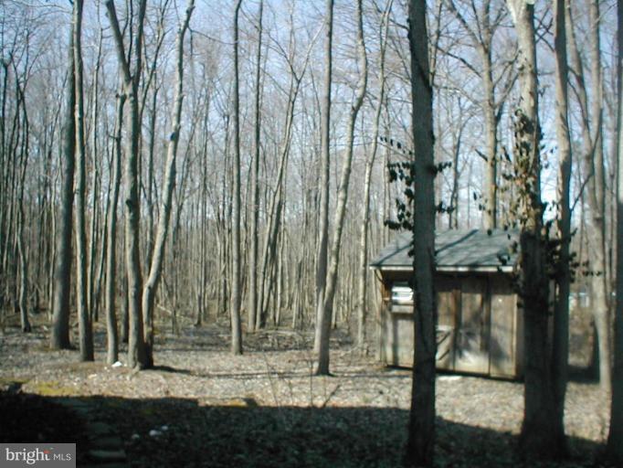 1487 Cedarhurst Road Shady Side, MD 20764 - Photo 13 of 15 Shed