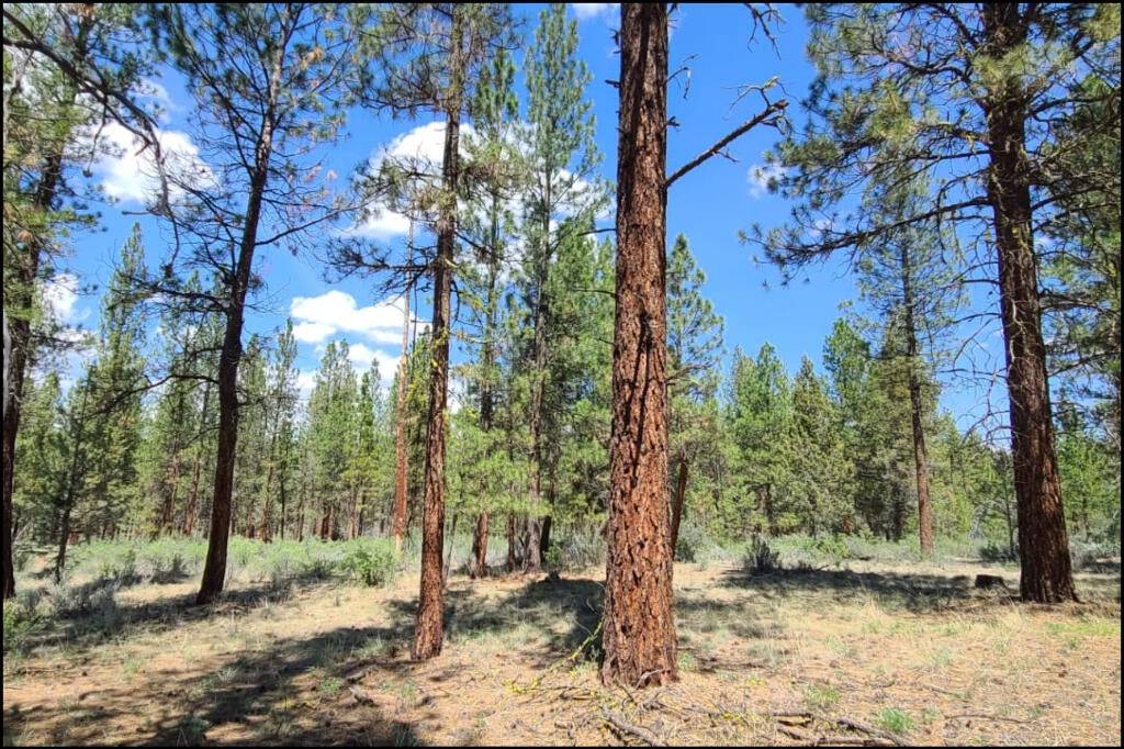 288110 Tableland Road Chiloquin, OR 97624 - Photo 8 of 24 06