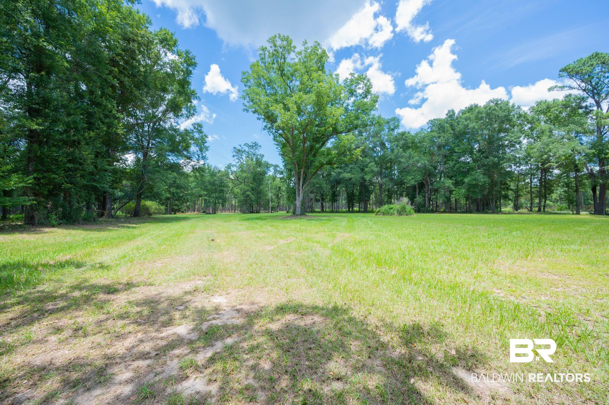 0 Hurricane Road Bay Minette, AL 36507 - Photo 5 of 30