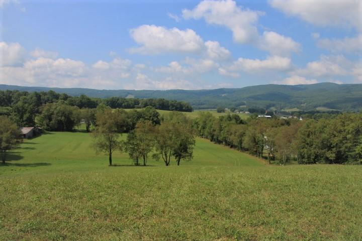 0 Gentry Road Shady Valley, TN 37688 - Photo 1 of 13 IMG_9537 (2)