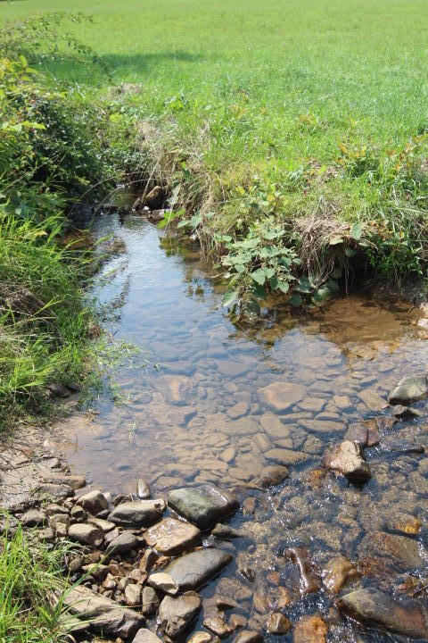 0 Gentry Road Shady Valley, TN 37688 - Photo 2 of 13 IMG_9568