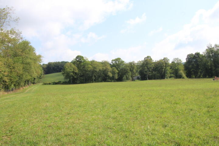 0 Gentry Road Shady Valley, TN 37688 - Photo 12 of 13 IMG_9574