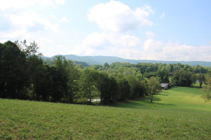 0 Gentry Road Shady Valley, TN 37688 - Photo 13 of 13 IMG_9548