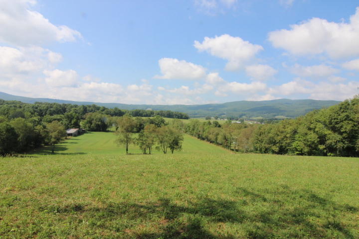 0 Gentry Road Shady Valley, TN 37688 - Photo 3 of 13 IMG_9532