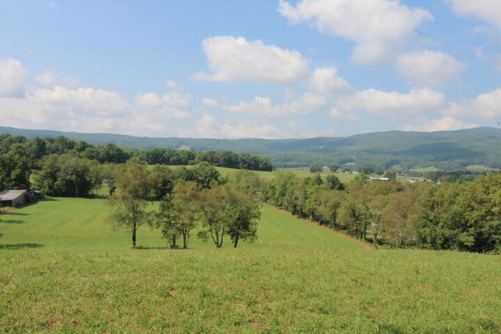 0 Gentry Road Shady Valley, TN 37688 - Photo 4 of 13 IMG_9534