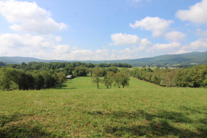 0 Gentry Road Shady Valley, TN 37688 - Photo 5 of 13 IMG_9536