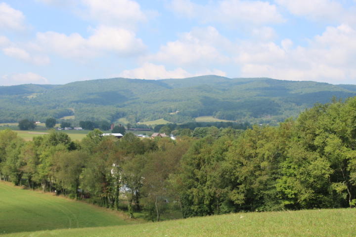 0 Gentry Road Shady Valley, TN 37688 - Photo 6 of 13 IMG_9542
