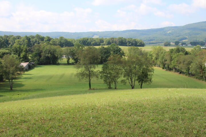 0 Gentry Road Shady Valley, TN 37688 - Photo 7 of 13 IMG_9546