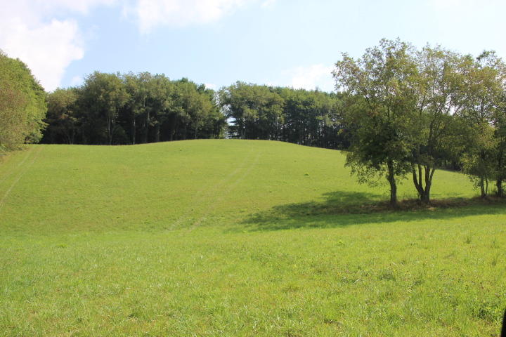 0 Gentry Road Shady Valley, TN 37688 - Photo 9 of 13 IMG_9557