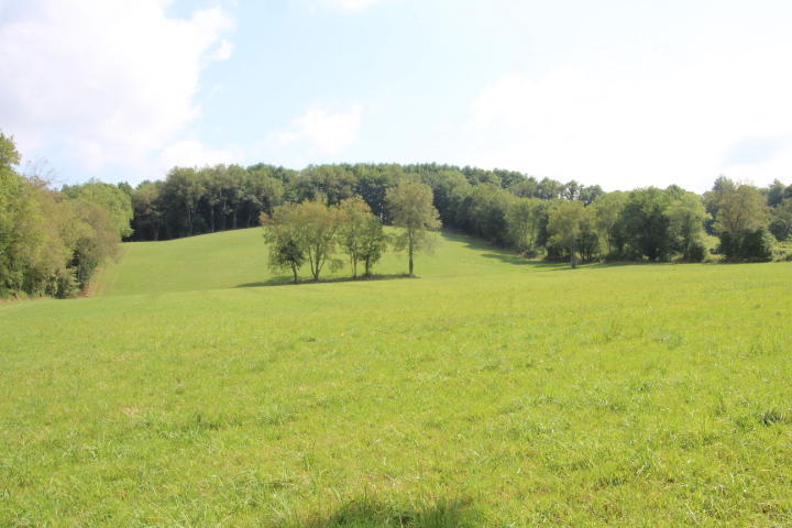 0 Gentry Road Shady Valley, TN 37688 - Photo 10 of 13 IMG_9559