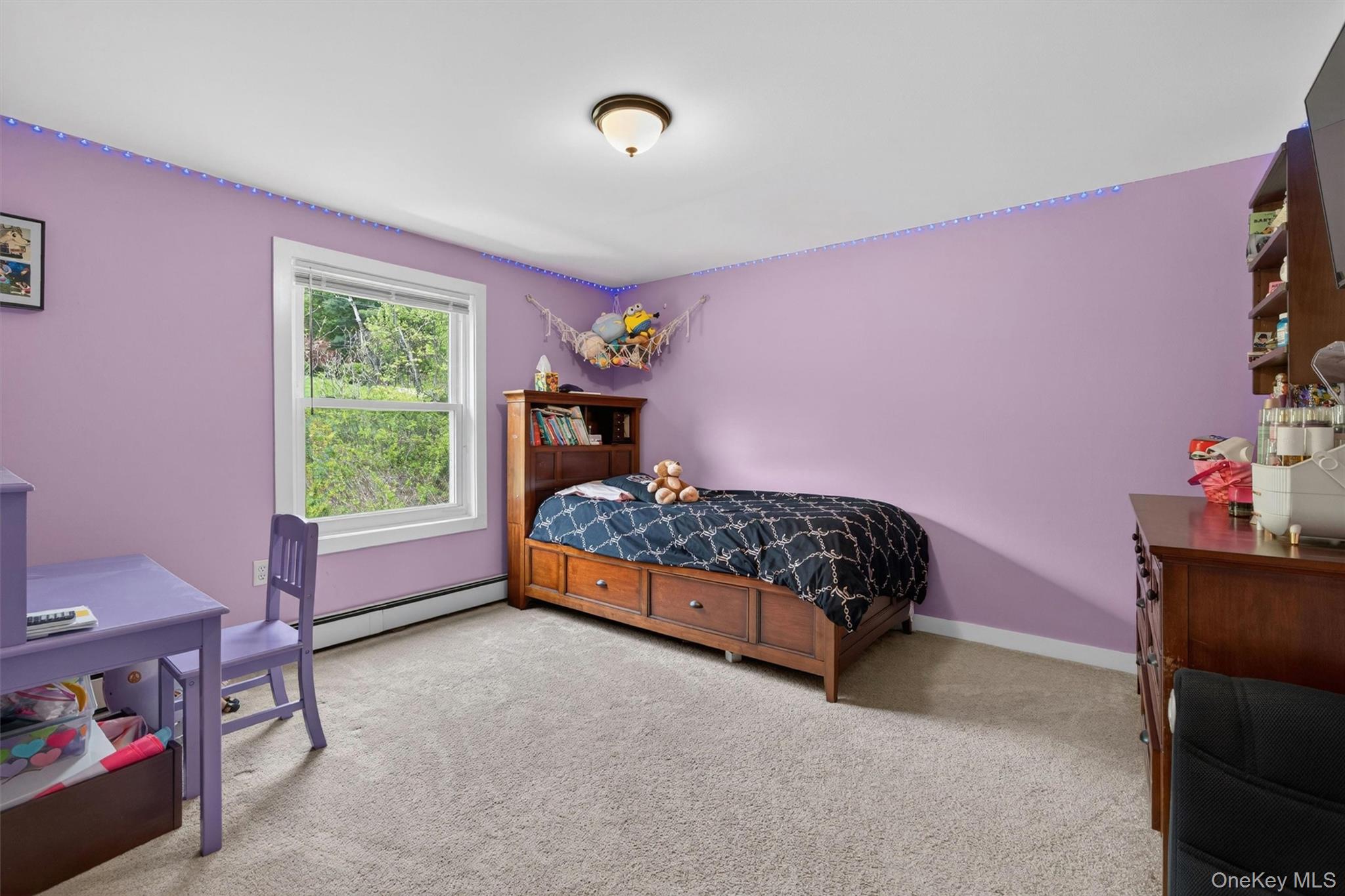492 Newport Bridge Road Pine Island, NY 10969 - Photo 24 of 48