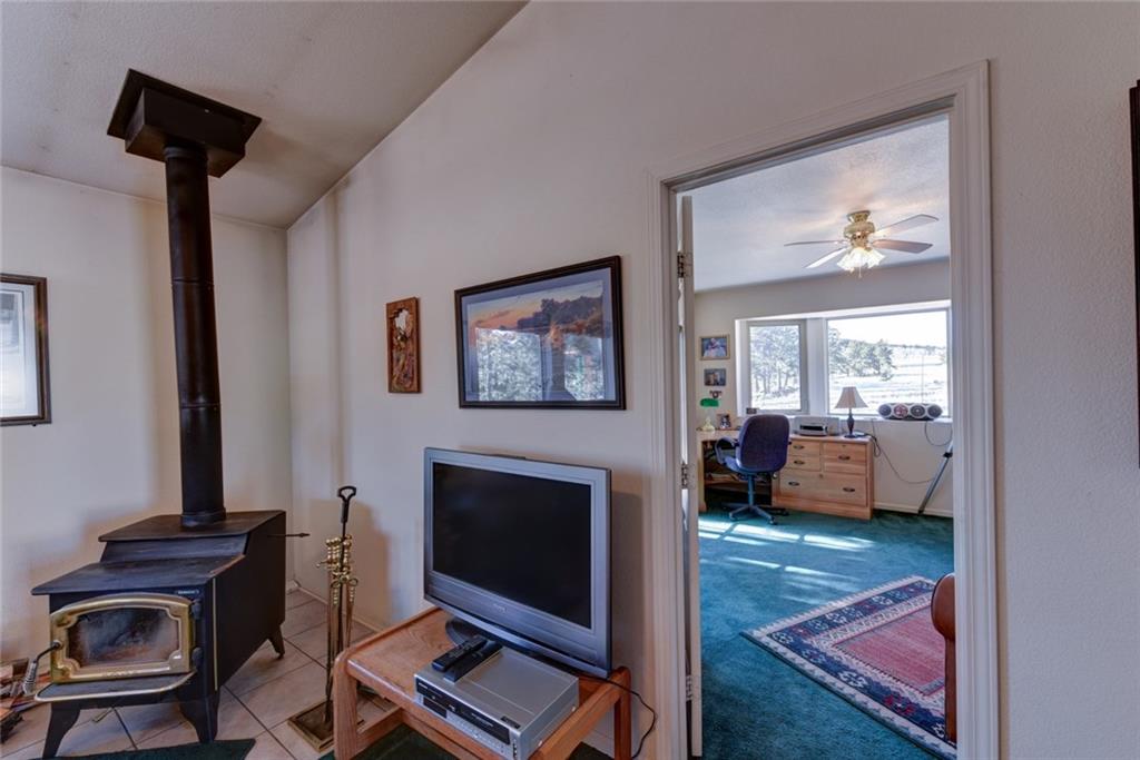 2315 Singletree Road Hartsel, CO 80449 - Photo 16 of 30 a living room with furniture and a fireplace