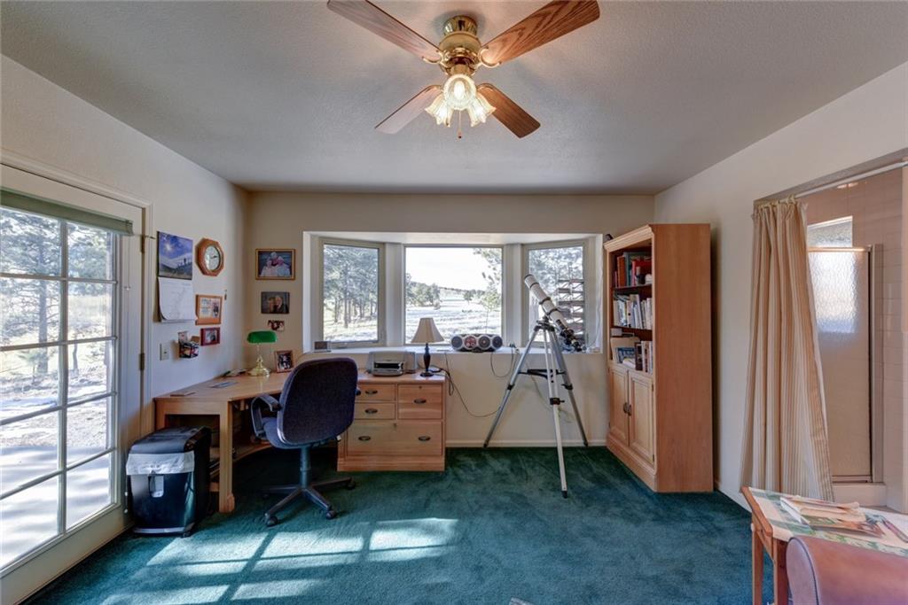 2315 Singletree Road Hartsel, CO 80449 - Photo 17 of 30 a bed room with furniture and a window