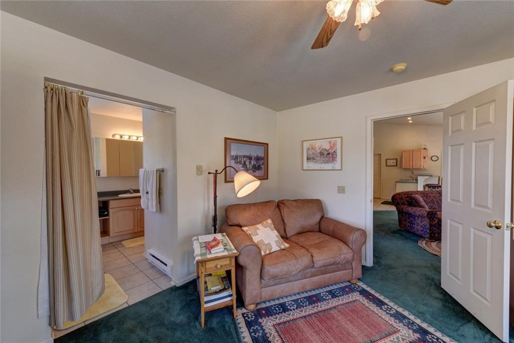 2315 Singletree Road Hartsel, CO 80449 - Photo 18 of 30 a living room with furniture and a walk in closet
