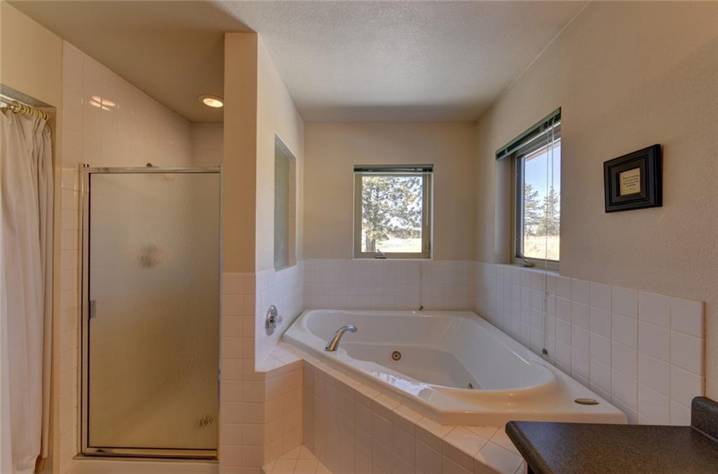 2315 Singletree Road Hartsel, CO 80449 - Photo 20 of 30 a bathroom with a bathtub and a window