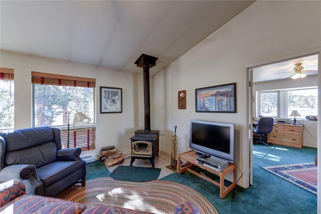 2315 Singletree Road Hartsel, CO 80449 - Photo 6 of 30 a living room with furniture a flat screen tv and a window