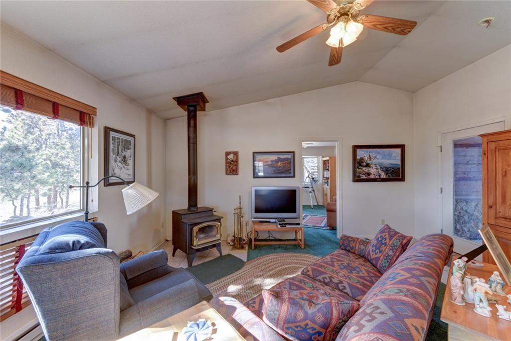 2315 Singletree Road Hartsel, CO 80449 - Photo 8 of 30 a living room with furniture a large window and a flat screen tv